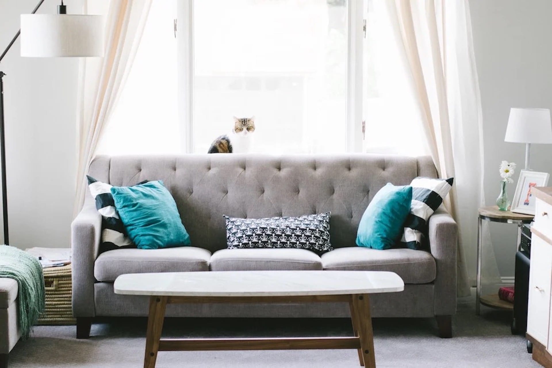 1 4 tips for moving your couch like a pro