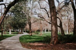 1 5 tips for finding activities when you are new in town